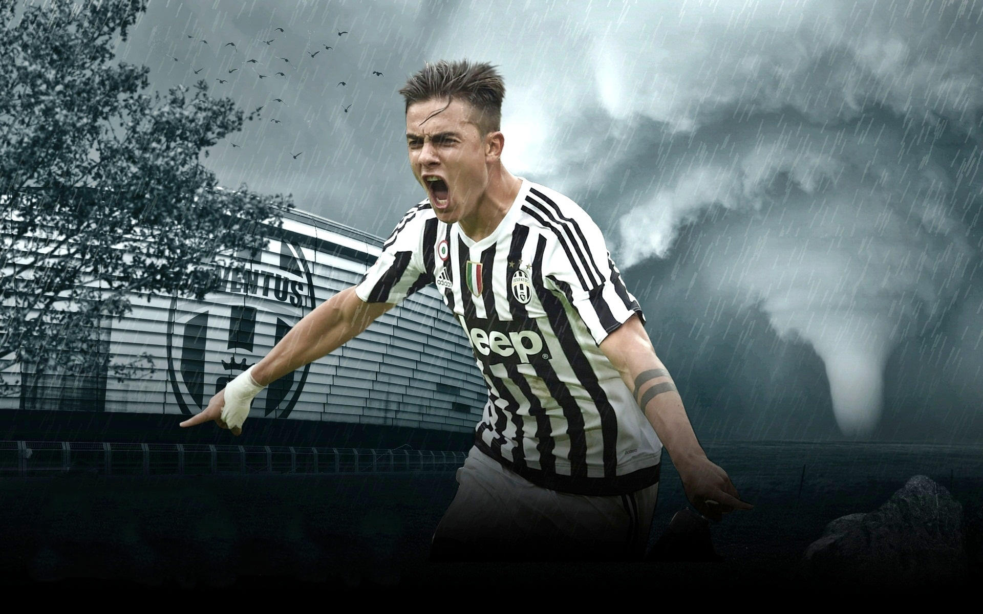 足球世界杯官方球票再次被抢空，黄牛疯狂加价